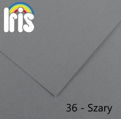 Brystol Iris 36 B1 szary 240g 25k [mm:] 700x1000 Canson (200040475)