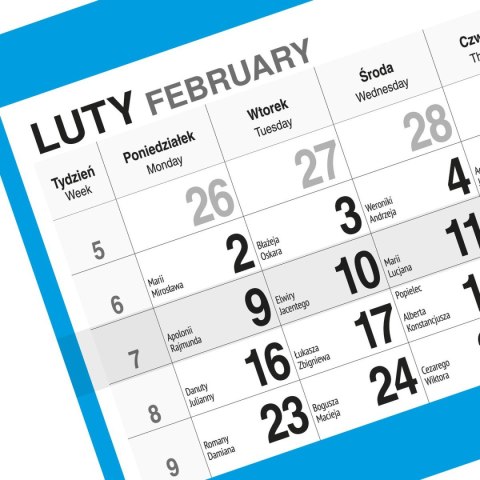 Kalendarz ścienny WIDOK 310mm x 790mm Press