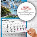 Kalendarz ścienny WIDOK 310mm x 790mm Press