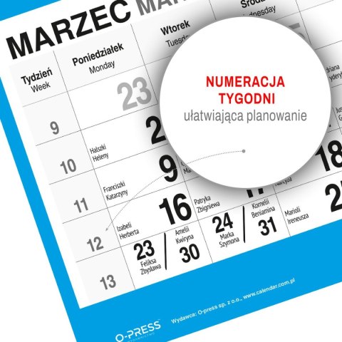 Kalendarz ścienny WIDOK 310mm x 790mm Press