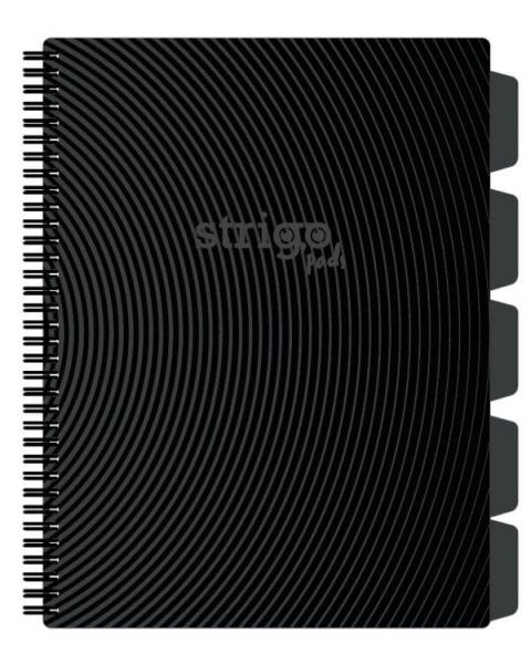 Kołozeszyt (kołonotatnik) BASIC SZARY A4 100k. 80g krata Strigo (PADS055) Kołozeszyt (kołonotatnik) BASIC SZARY A4 100k. 80g krata Strigo (PADS055)