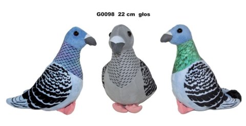 Pluszak gołąb z głosem [mm:] 220 Sun-Day (169693)