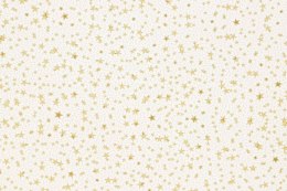 Torba prezentowa torebka BN folia [mm:] 400x500 (S13)