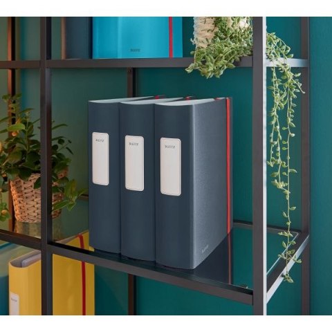 Segregator dźwigniowy Cosy Active A4 80mm szary Leitz (10380089)