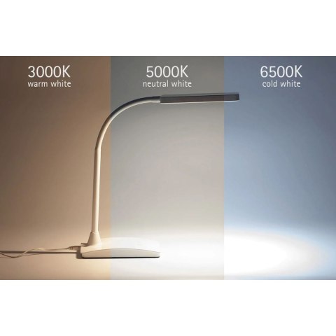 Lampka biurowa LED MAULpearly BIAŁA Maul (82017/02 ML) Lampka biurowa LED MAULpearly BIAŁA Maul (82017/02 ML)