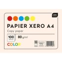 Papier kolorowy A4 mix 80g Interdruk (PAKSA4IN)