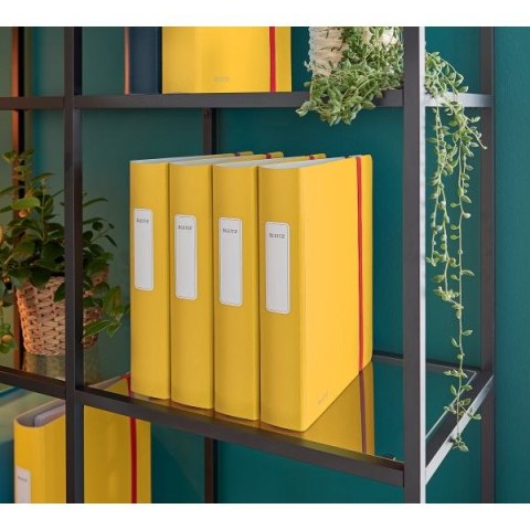 Segregator dźwigniowy Cosy Active A4 50mm żółty Leitz (10390019)