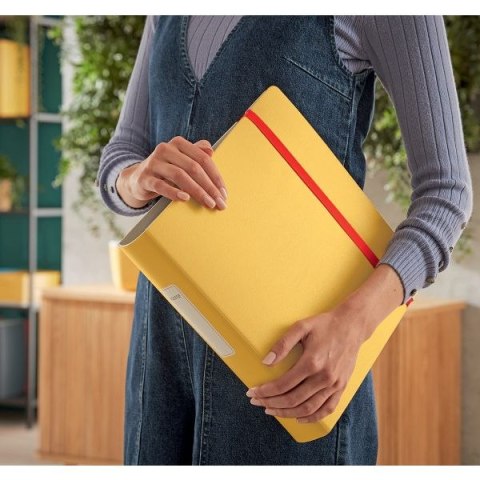 Segregator dźwigniowy Cosy Active A4 50mm żółty Leitz (10390019)