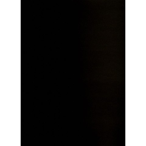 Brystol CZARNY B2 CZARNY 225g 25k Creatinio (400150325)