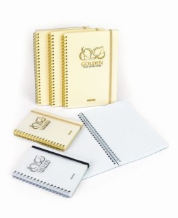 Kołozeszyt (kołonotatnik) Golden&Silver A5 80k. 80g linia Mintra (92648)