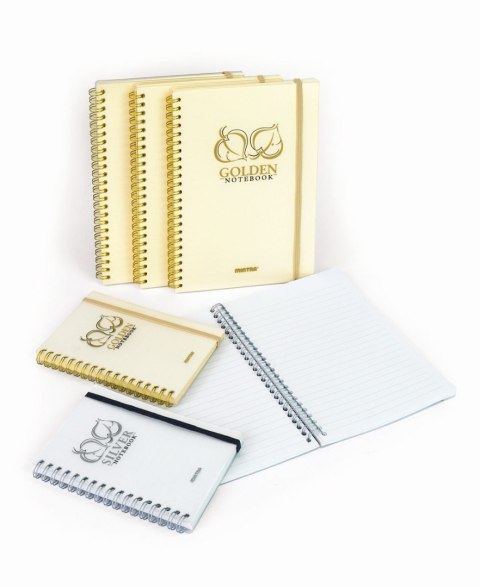 Kołozeszyt (kołonotatnik) Golden&Silver A5 80k. 80g linia Mintra (92648)