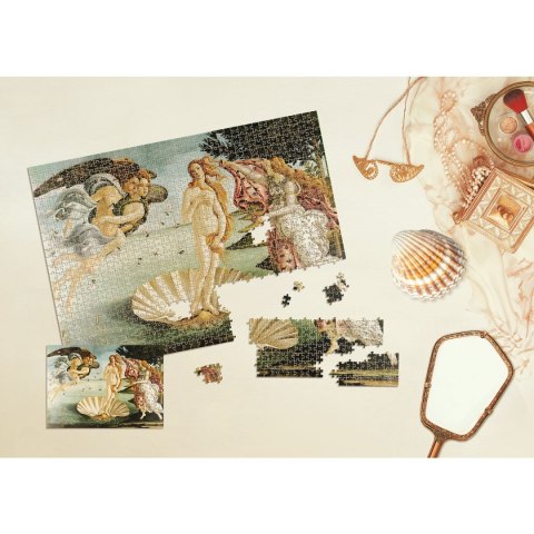 Puzzle ART 5 SANDRO BOTTICELLI 1000 el. Interdruk (1000 el)