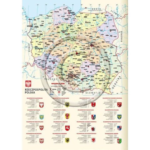 Kalendarz książkowy (terminarz) NENUFARY A5 Lucrum (21DS)