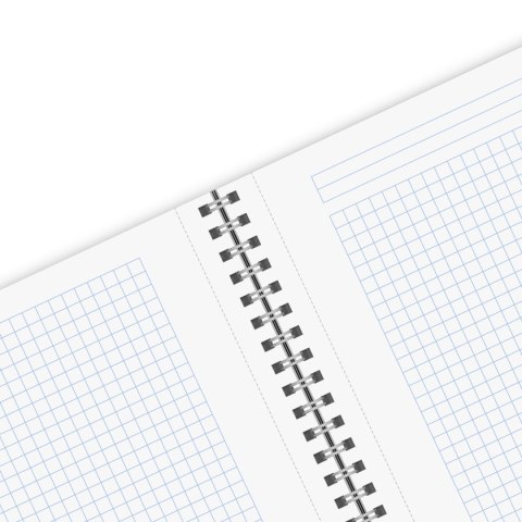 Kołozeszyt (kołonotatnik) Ocean B5 80k. 70g krata Herlitz (400198760)