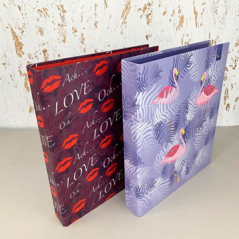 Segregator dźwigniowy A4 40mm różnokolorowy Ev-corp (SMOA42R)