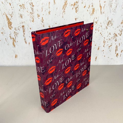 Segregator dźwigniowy A4 40mm różnokolorowy Ev-corp (SMOA42R)