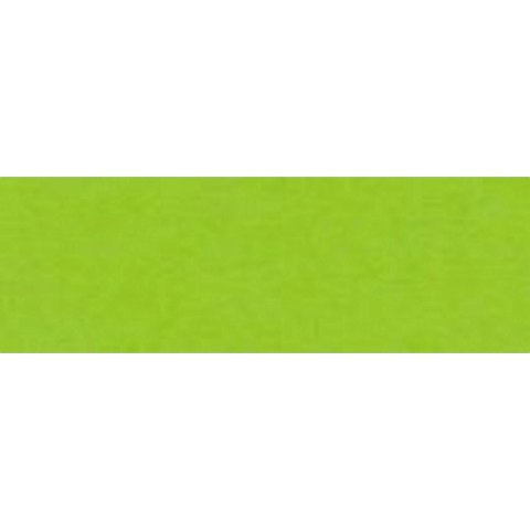 Brystol Happy Color joy A3 zielony jasny 170g Happy Color (HA 3517 3042-50)