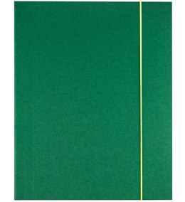 Teczka kartonowa na gumkę A4 zielona 350g Kreativ (120-1985)