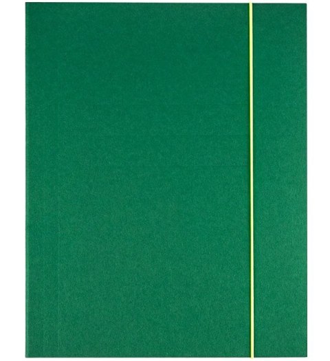 Teczka kartonowa na gumkę A4 zielona 350g Kreativ (120-1985)