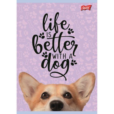 Zeszyt dog A5 16k. krata Unipap Zeszyt dog A5 16k. krata Unipap
