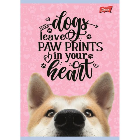 Zeszyt dog A5 16k. krata Unipap Zeszyt dog A5 16k. krata Unipap