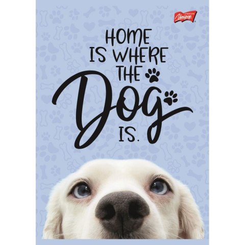 Zeszyt dog A5 16k. krata Unipap Zeszyt dog A5 16k. krata Unipap