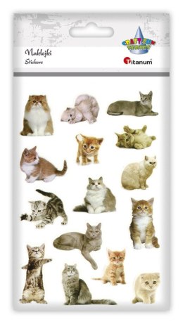 Naklejka (nalepka) Craft-Fun Series Koty Titanum (PPB01)