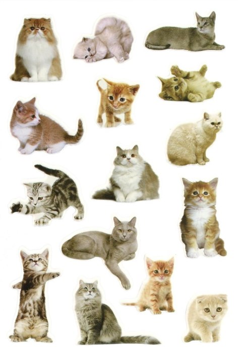 Naklejka (nalepka) Craft-Fun Series Koty Titanum (PPB01)