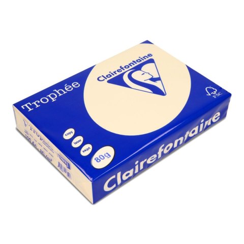 Papier kolorowy kolorowy A4 piaskowy 500k. 80g Trophee (xca41871)