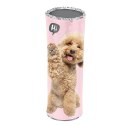 Piórnik tuba Paso (PP24PU-003) Piórnik tuba Paso (PP24PU-003)
