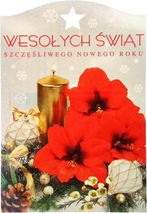 Pocztówka Pocztówka