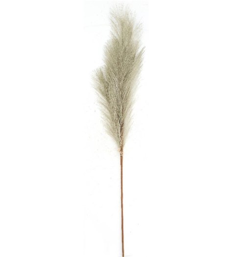 Kwiaty Trawa pampasowa 77cm naturalna Home And Garden (9925) Kwiaty Trawa pampasowa 77cm naturalna Home And Garden (9925)