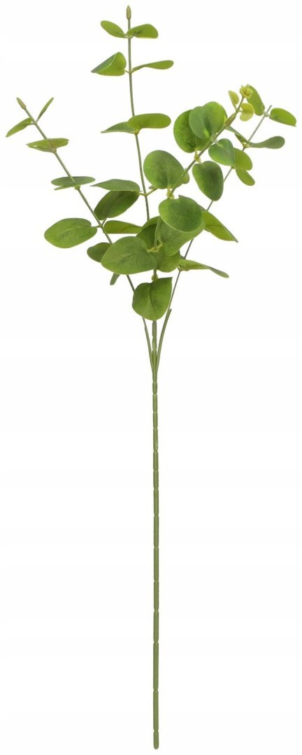 Kwiaty gałązka eukaliptus 63 cm Home And Garden (2006) Kwiaty gałązka eukaliptus 63 cm Home And Garden (2006)