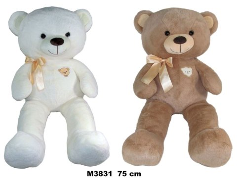 Pluszak miś,2 kolory [mm:] 750 (172600)