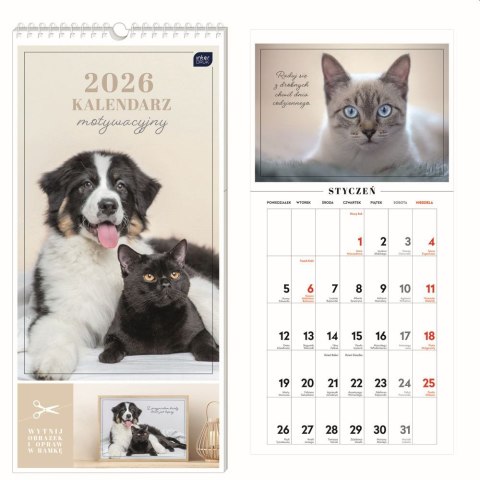 Kalendarz ścienny motywujący 220mm x 460mm Interdruk (ZWIERZAKI)