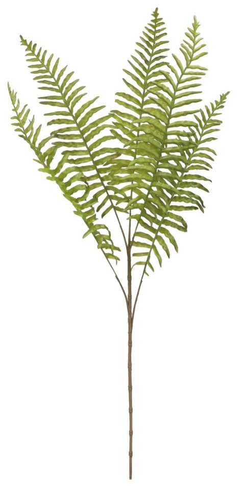Kwiaty bukiet paproci 75cm Home And Garden (2545) Kwiaty bukiet paproci 75cm Home And Garden (2545)