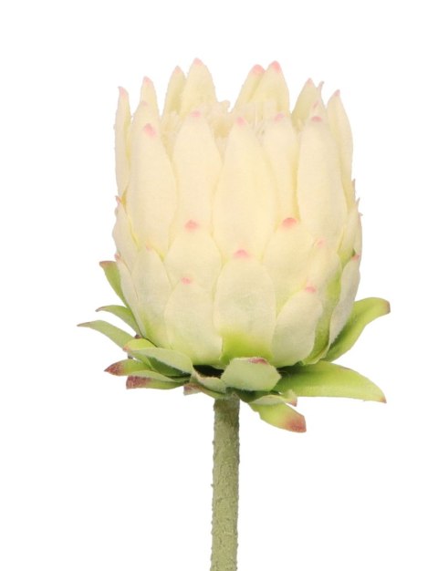 Kwiaty karczoch 65cm Home And Garden (8226)