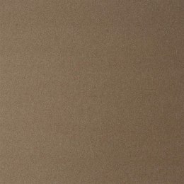 Papier ozdobny (wizytówkowy) kraft A4 beżowy 270g Argo (207426)