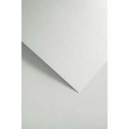 Papier ozdobny (wizytówkowy) natte A4 biały 120g Galeria Papieru (206111)