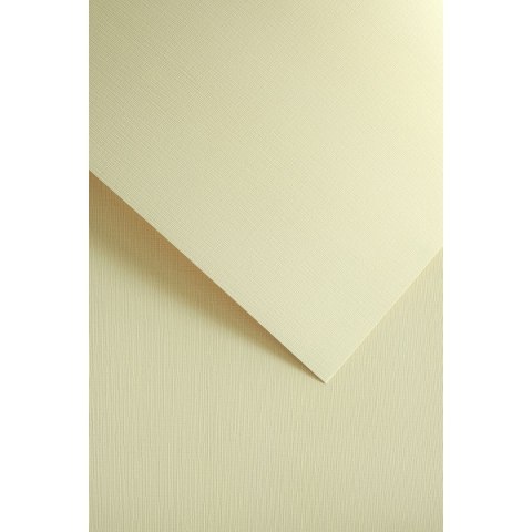 Papier ozdobny (wizytówkowy) natte A4 kremowy 120g Galeria Papieru (206112) Papier ozdobny (wizytówkowy) natte A4 kremowy 120g Galeria Papieru (206112)