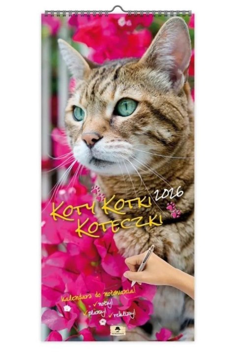 Kalendarz ścienny PASKOWY SZEROKI KOTY KOTKI KOTECZKI 220mm x 470mm Pan Kalendarzyk (KPS V.6)
