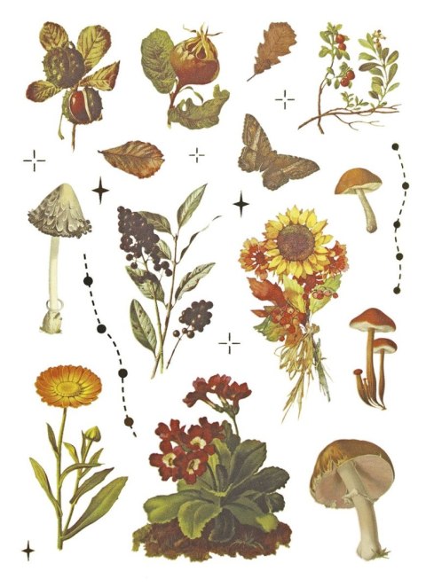 Naklejka (nalepka) Craft-Fun Series Naklejki foliowe 8 plansz Titanum (25YZ009)