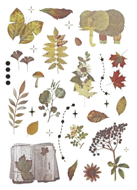 Naklejka (nalepka) Craft-Fun Series Naklejki foliowe 8 plansz Titanum (25YZ009)