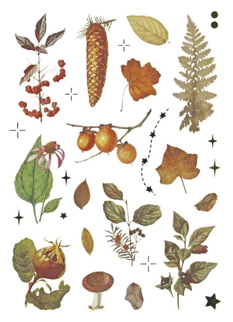 Naklejka (nalepka) Craft-Fun Series Naklejki foliowe 8 plansz Titanum (25YZ009)