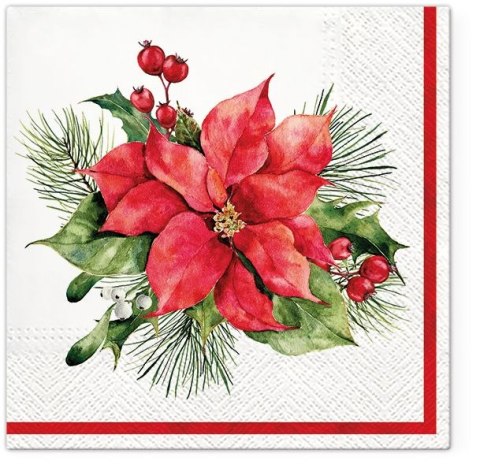 Serwetki BN kolorowa papier [mm:] 330x330 Paw (TL233200)