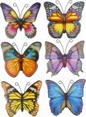 Naklejka (nalepka) Craft-Fun Series motyle Titanum (22LJ0828-5/B)