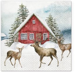 Serwetki BN kolorowa papier [mm:] 330x330 Paw (TL232200)