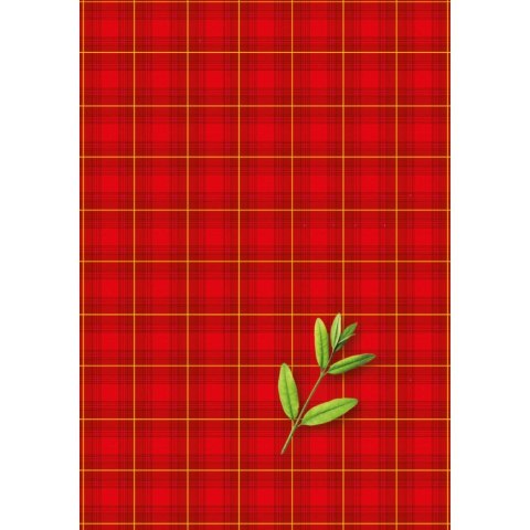 Brulion A6 60k. krata Kreska