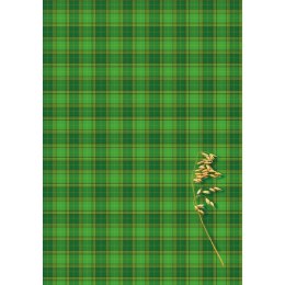 Brulion B5 200k. krata Kreska