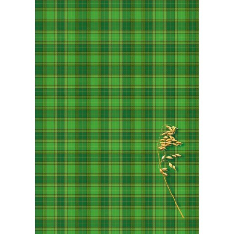 Brulion B5 200k. krata Kreska